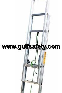 LADDER PENGUIN ALDE12