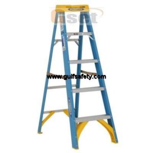 LADDER WERNER 6005