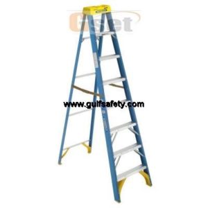 LADDER WERNER 6008