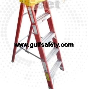 LADDER F/G SINGLE 10STEPS