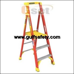 LADDER WERNER PD6203