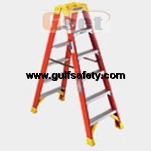 LADDER WERNER T6206