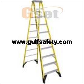 LADDER WERNER 7310