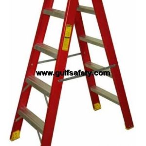 LADDER PENG FGDSAT 10