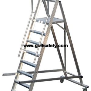 LADDER PENGUIN WHL13